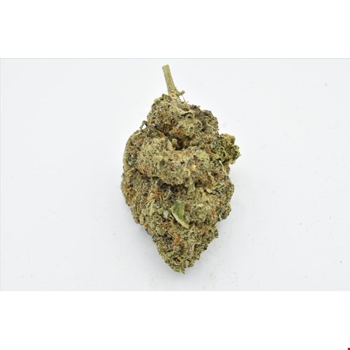 Memphis Blue (Hybrid) - SALE 1 OZ $75